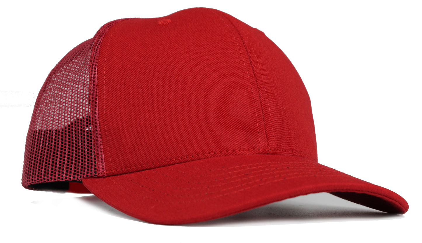 (USA 110C) Curve 6 Panel Mesh
