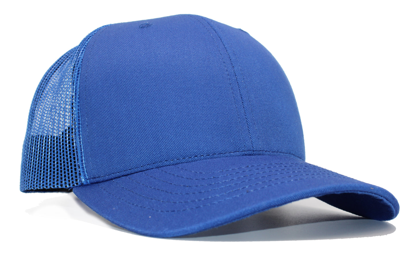 (USA 110C) Curve 6 Panel Mesh