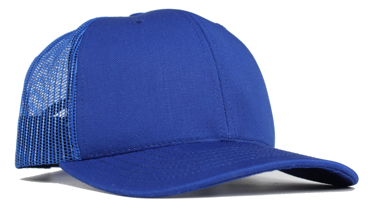 (USA 110C) Curve 6 Panel Mesh