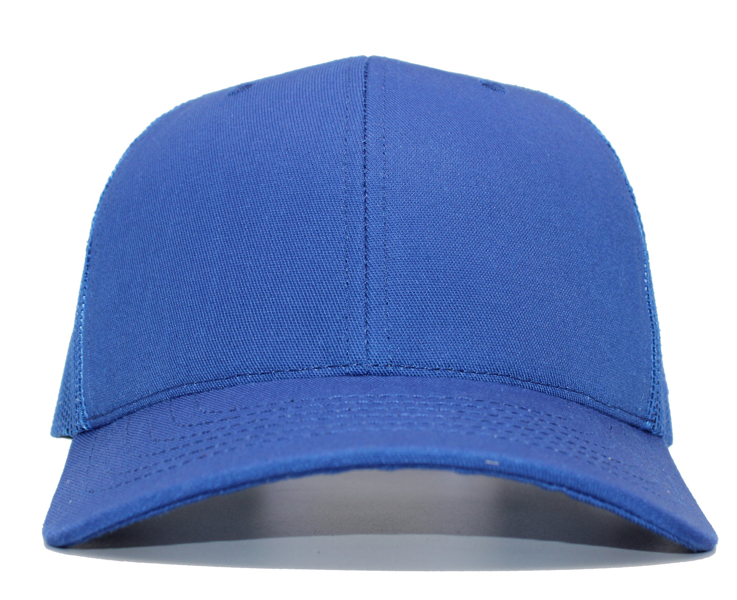 (USA 110C) Curve 6 Panel Mesh