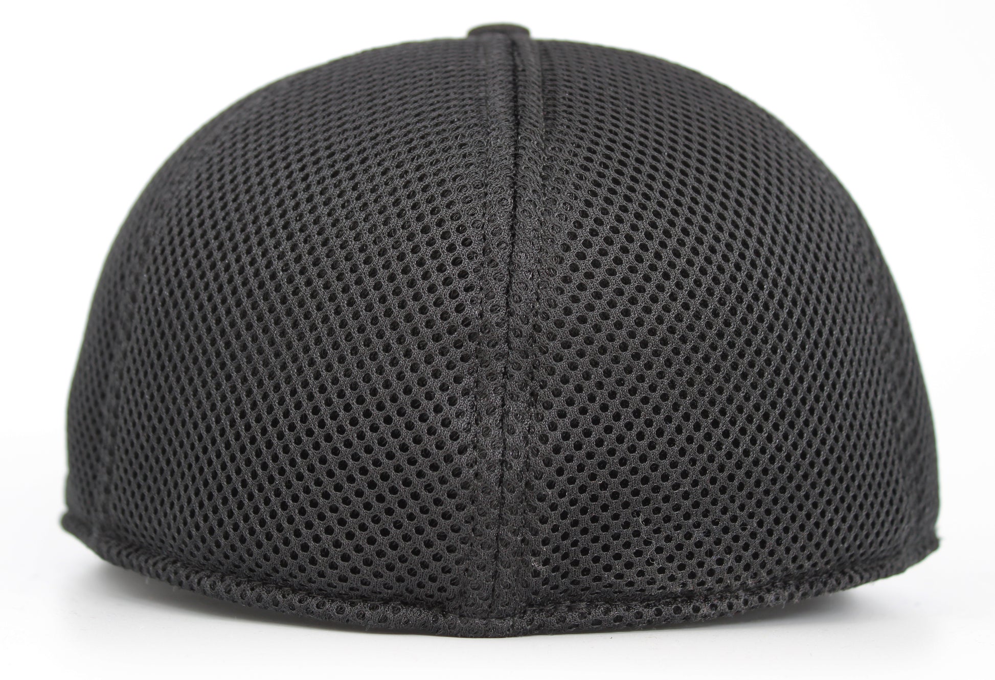 Black-Back