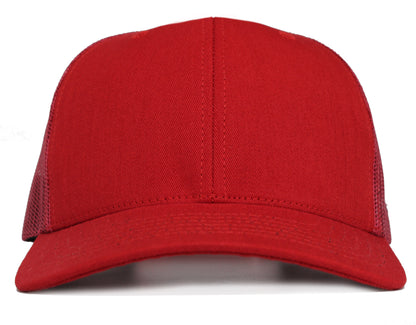 (USA 110C) Curve 6 Panel Mesh