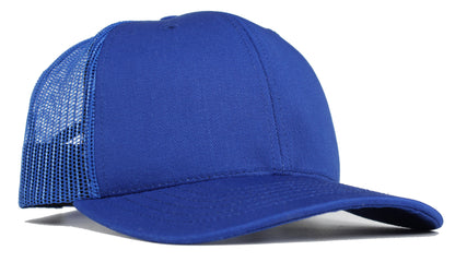 (USA 110C) Curve 6 Panel Mesh
