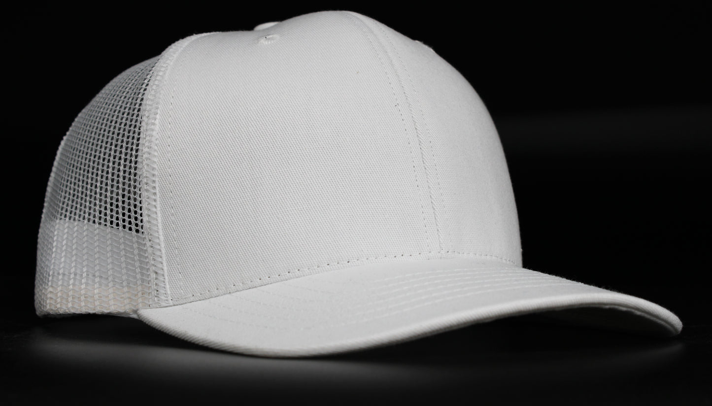 (USA 110C) Curve 6 Panel Mesh