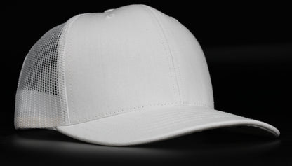 (USA 110C) Curve 6 Panel Mesh
